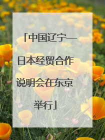 中国辽宁—日本经贸合作说明会在东京举行