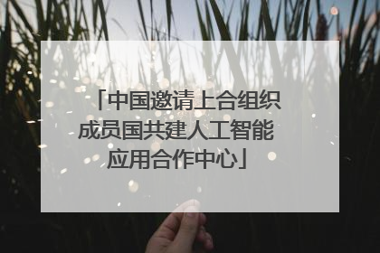 中国邀请上合组织成员国共建人工智能应用合作中心