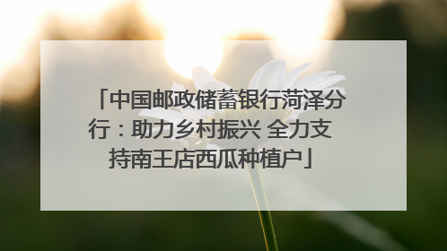 中国邮政储蓄银行菏泽分行：助力乡村振兴 全力支持南王店西瓜种植户