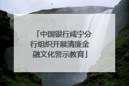 中国银行咸宁分行组织开展清廉金融文化警示教育