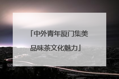 中外青年厦门集美品味茶文化魅力