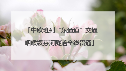 中欧班列“东通道”交通咽喉绥芬河隧道全线贯通