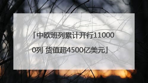 中欧班列累计开行110000列 货值超4500亿美元