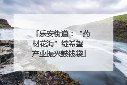 乐安街道：“药材花海”绽希望 产业振兴鼓钱袋