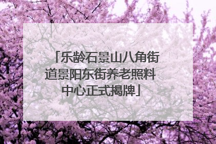 乐龄石景山八角街道景阳东街养老照料中心正式揭牌