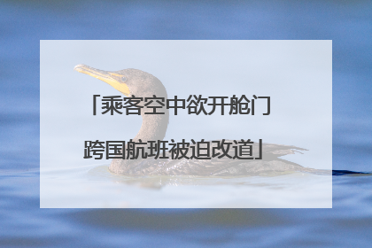 乘客空中欲开舱门 跨国航班被迫改道