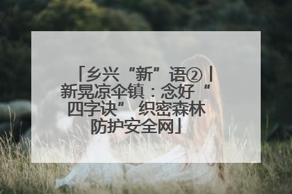 乡兴“新”语②丨新晃凉伞镇：念好“四字诀” 织密森林防护安全网