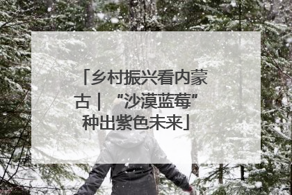 乡村振兴看内蒙古｜“沙漠蓝莓”种出紫色未来