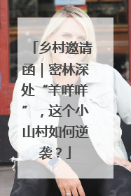 乡村邀请函｜密林深处“羊咩咩”，这个小山村如何逆袭？