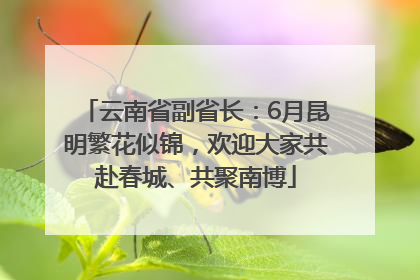云南省副省长：6月昆明繁花似锦，欢迎大家共赴春城、共聚南博
