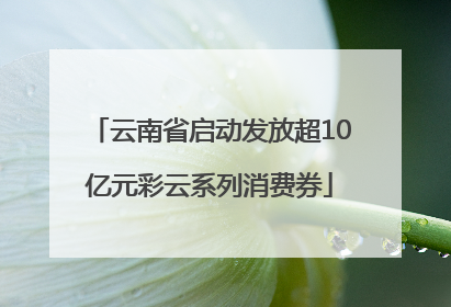 云南省启动发放超10亿元彩云系列消费券