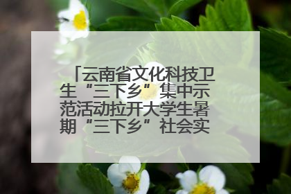 云南省文化科技卫生“三下乡”集中示范活动拉开大学生暑期“三下乡”社会实践活动序幕