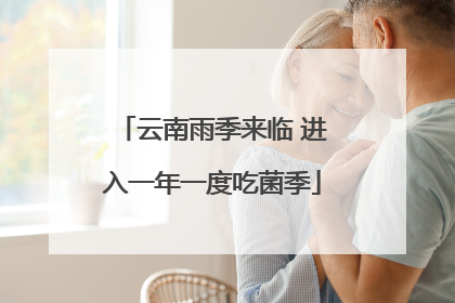 云南雨季来临 进入一年一度吃菌季