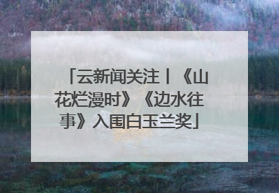 云新闻关注丨《山花烂漫时》《边水往事》入围白玉兰奖