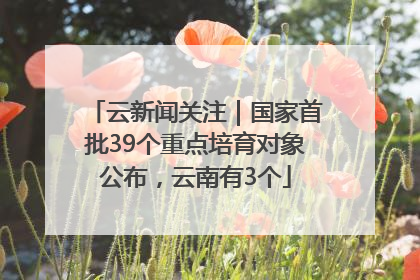 云新闻关注｜国家首批39个重点培育对象公布，云南有3个
