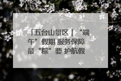 五台山景区｜“端午”假期 服务保障最“粽”要 护航假期“不打烊”