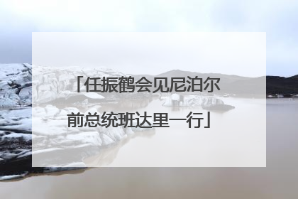 任振鹤会见尼泊尔前总统班达里一行