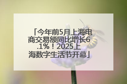 今年前5月上海电商交易额同比增长6.1%！2025上海数字生活节开幕