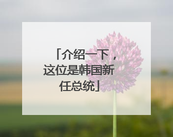 介绍一下，这位是韩国新任总统