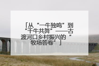 从“一牛独鸣”到“千牛共舞”——古渡河口乡村振兴的“牧场答卷”