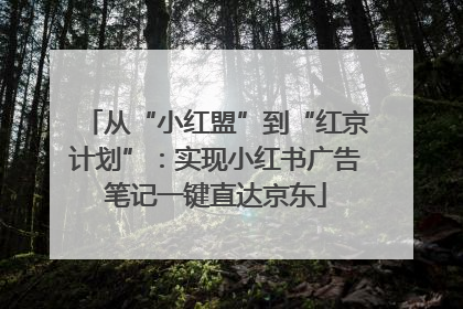 从“小红盟”到“红京计划”：实现小红书广告笔记一键直达京东