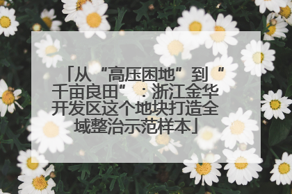 从“高压困地”到“千亩良田”：浙江金华开发区这个地块打造全域整治示范样本