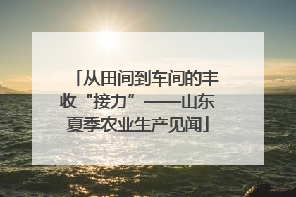 从田间到车间的丰收“接力”——山东夏季农业生产见闻