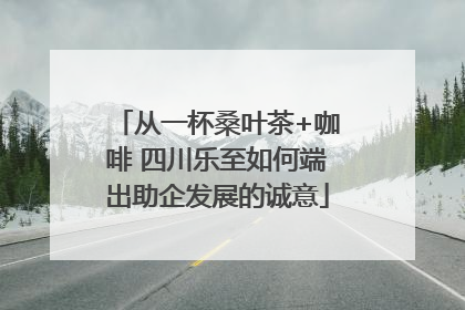 从一杯桑叶茶+咖啡 四川乐至如何端出助企发展的诚意