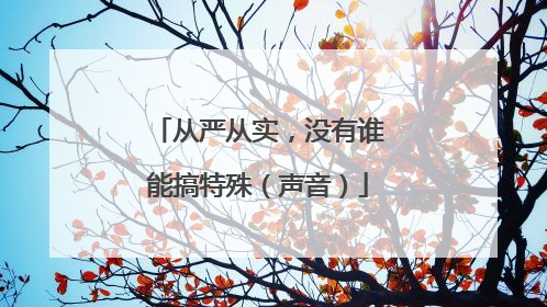 从严从实，没有谁能搞特殊（声音）