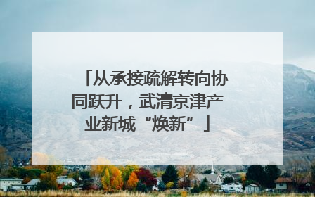 从承接疏解转向协同跃升，武清京津产业新城“焕新”