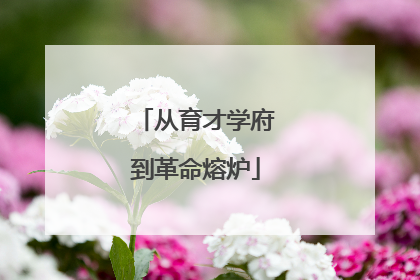 从育才学府到革命熔炉