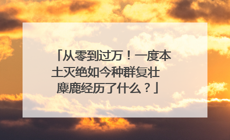 从零到过万！一度本土灭绝如今种群复壮 麋鹿经历了什么？