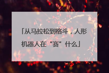 从马拉松到格斗，人形机器人在“赛”什么