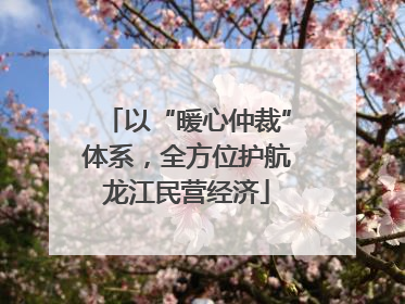 以“暖心仲裁”体系，全方位护航龙江民营经济