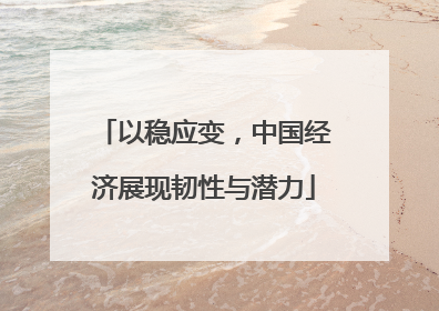 以稳应变，中国经济展现韧性与潜力