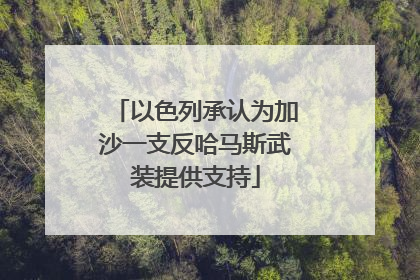 以色列承认为加沙一支反哈马斯武装提供支持
