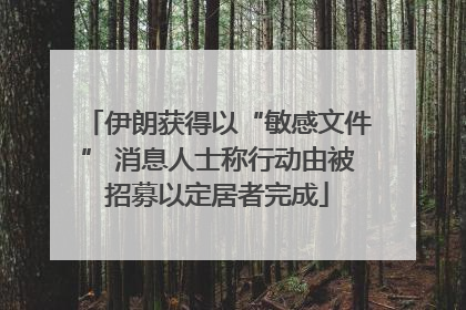 伊朗获得以“敏感文件” 消息人士称行动由被招募以定居者完成