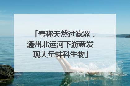 号称天然过滤器，通州北运河下游新发现大量蚌科生物
