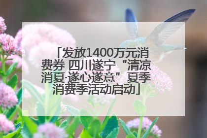 发放1400万元消费券 四川遂宁“清凉消夏·遂心遂意”夏季消费季活动启动