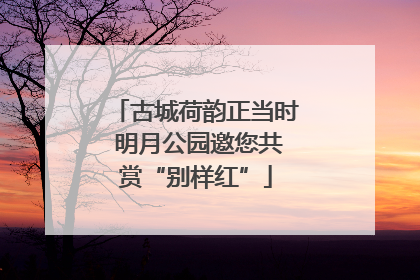 古城荷韵正当时 明月公园邀您共赏“别样红”
