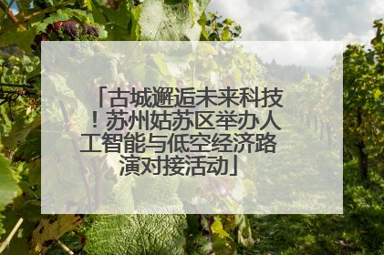 古城邂逅未来科技！苏州姑苏区举办人工智能与低空经济路演对接活动