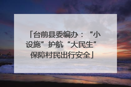 台前县委编办：“小设施”护航“大民生” 保障村民出行安全