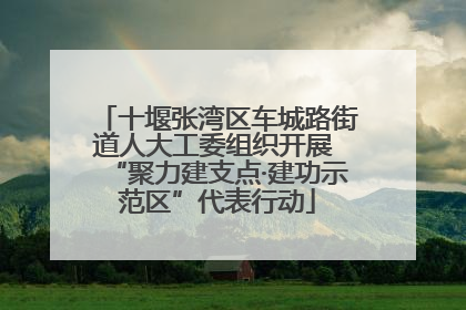 十堰张湾区车城路街道人大工委组织开展 “聚力建支点·建功示范区”代表行动