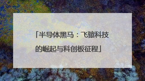 半导体黑马：飞骧科技的崛起与科创板征程