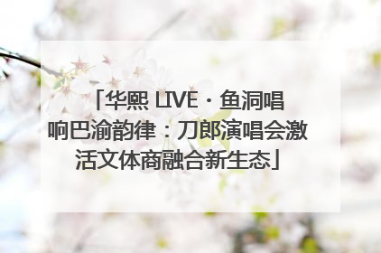 华熙 LIVE・鱼洞唱响巴渝韵律：刀郎演唱会激活文体商融合新生态