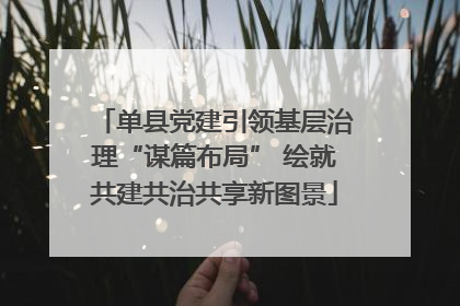 单县党建引领基层治理“谋篇布局” 绘就共建共治共享新图景