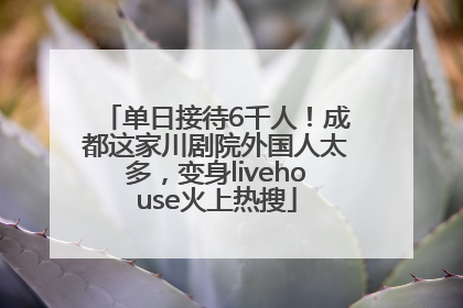 单日接待6千人！成都这家川剧院外国人太多，变身livehouse火上热搜