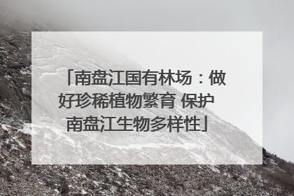 南盘江国有林场：做好珍稀植物繁育 保护南盘江生物多样性