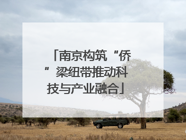 南京构筑“侨”梁纽带推动科技与产业融合