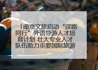 南京文旅启动“译路同行”外语导游人才培育计划 壮大专业人才队伍助力重要国际旅游目的地建设